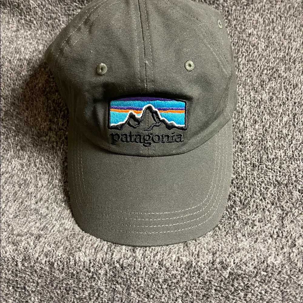Patagonia Hat, Unisex, Grayish- Green Color